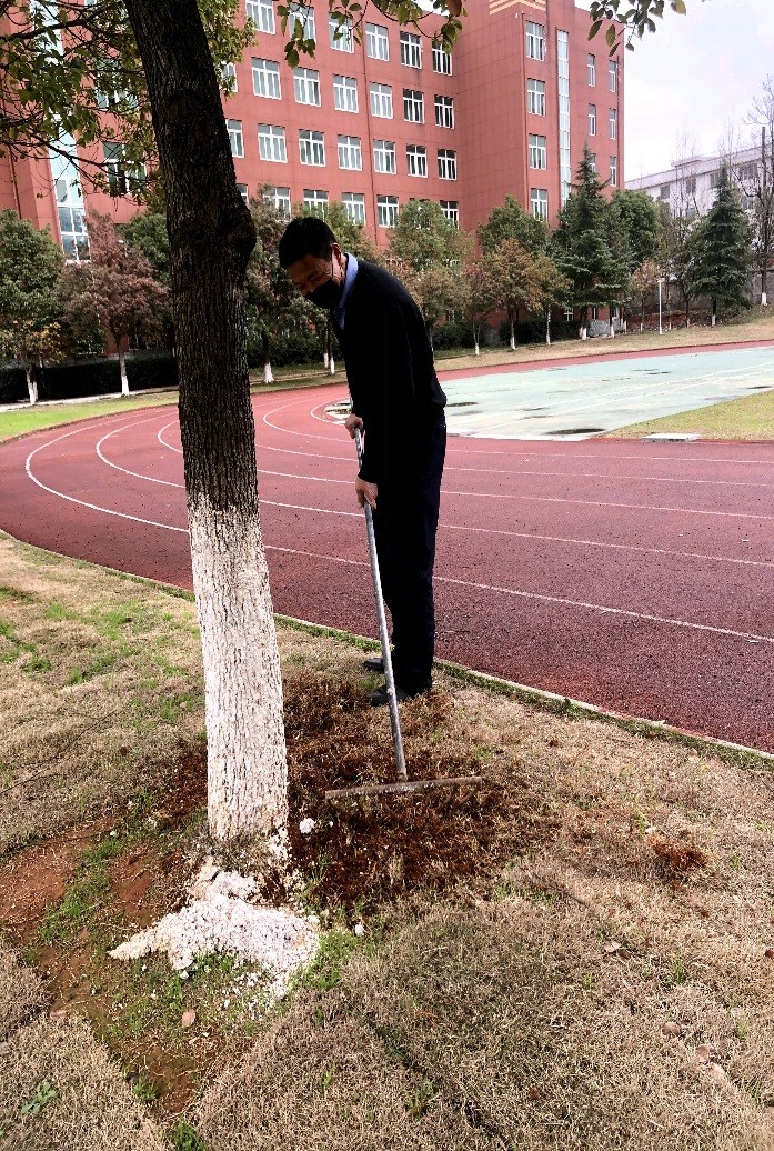 1590542987478427.jpg 3.jpg