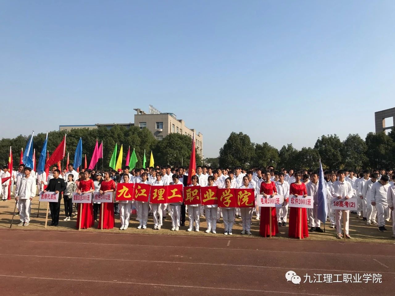 1604886998681140.jpg 9.jpg