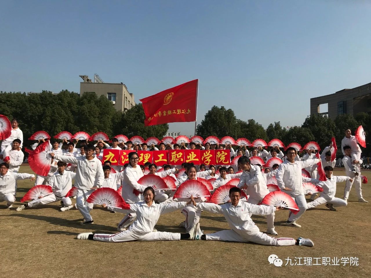 1604887106579475.jpg 15.jpg