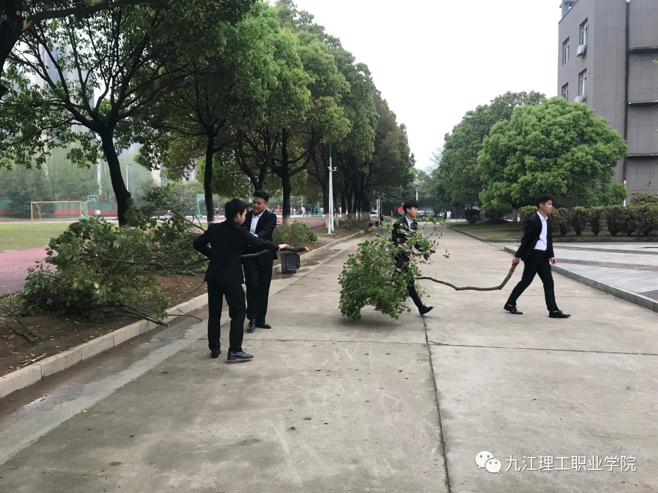 1617196637666055.jpg 5.jpg