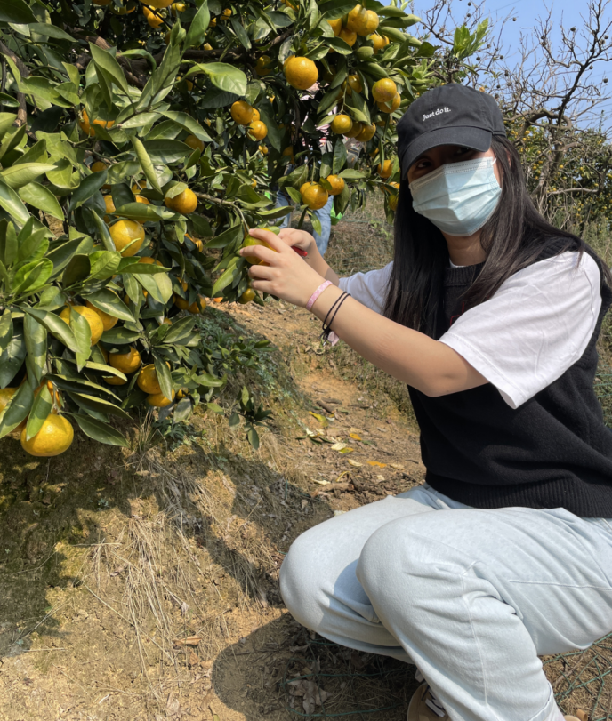 1635817715461468.png image.png