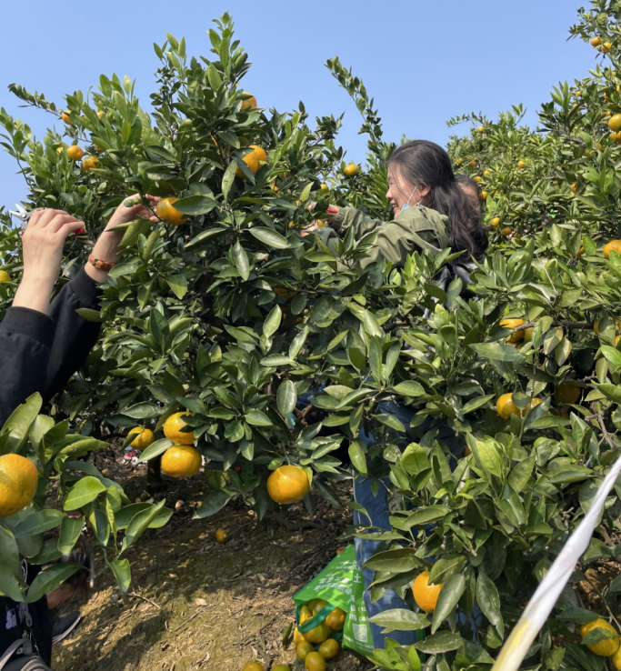 1635817811565882.png image.png