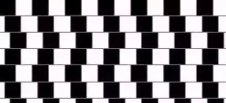 1684927472569005.jpg 1684927472569005.jpg